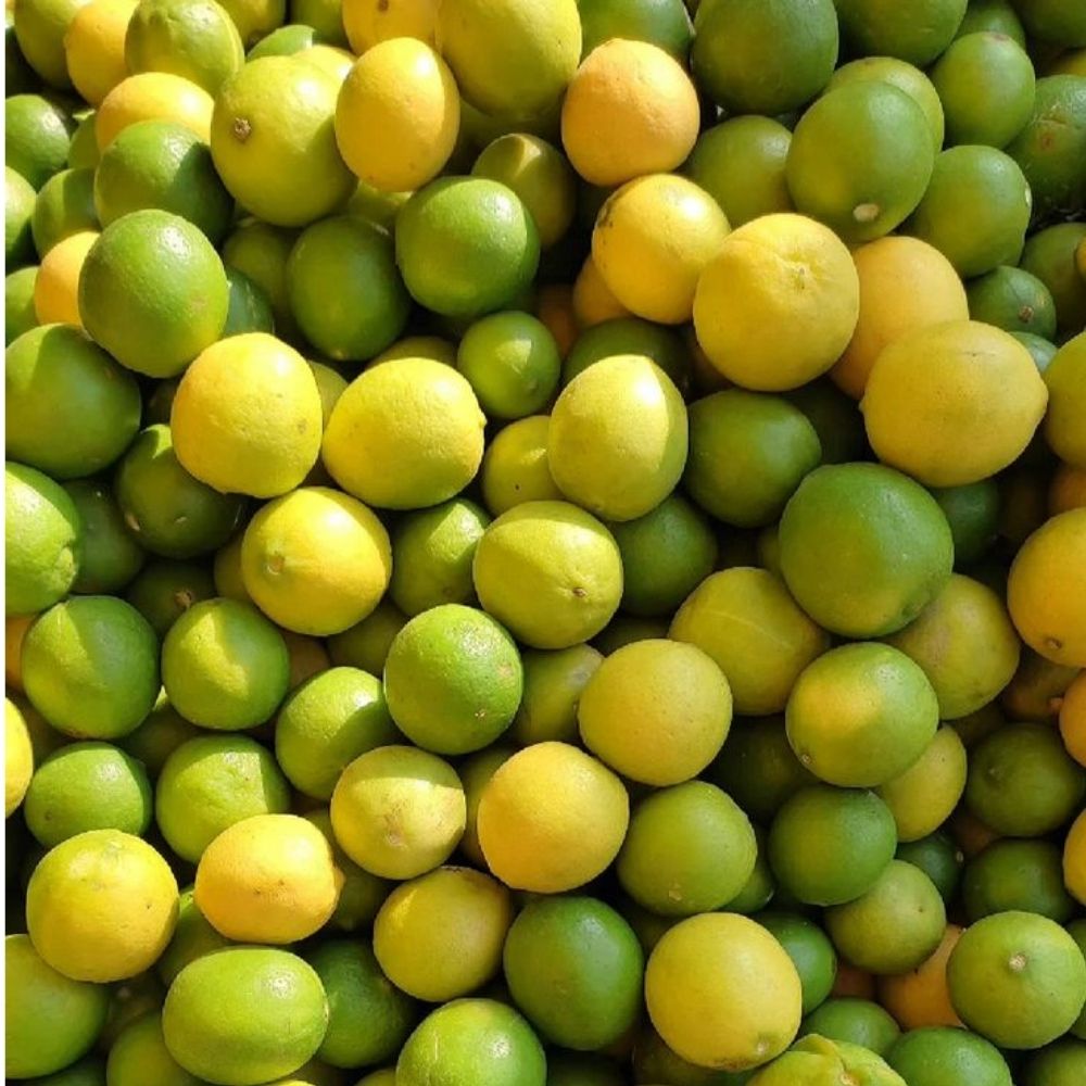FRESH LEMON
