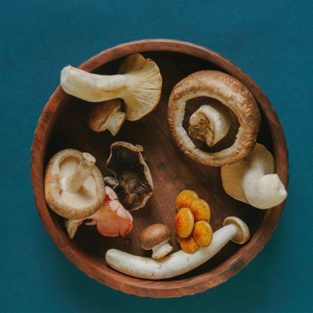 MUSHROOM MIX