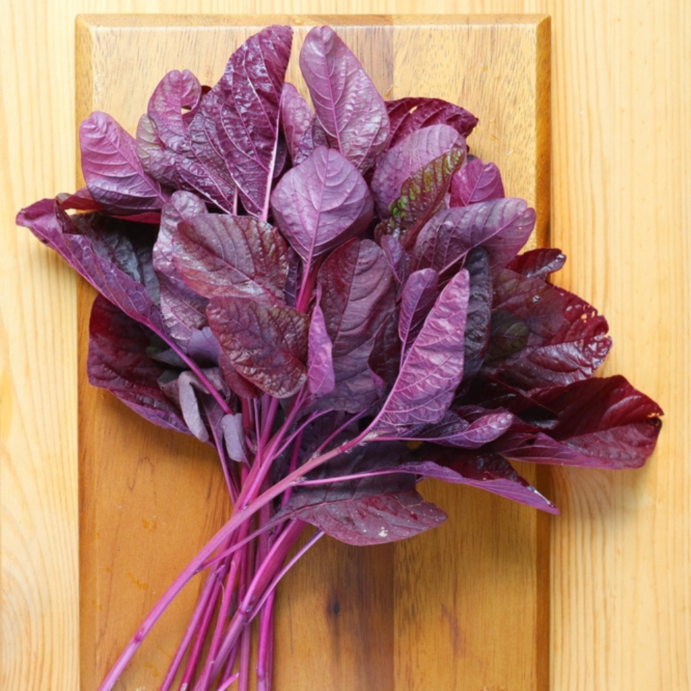 FRESH RED AMARANTH/LAAL MATH