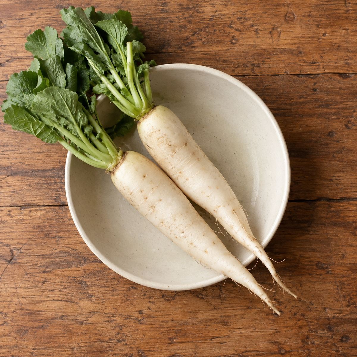 FRESH RADISH