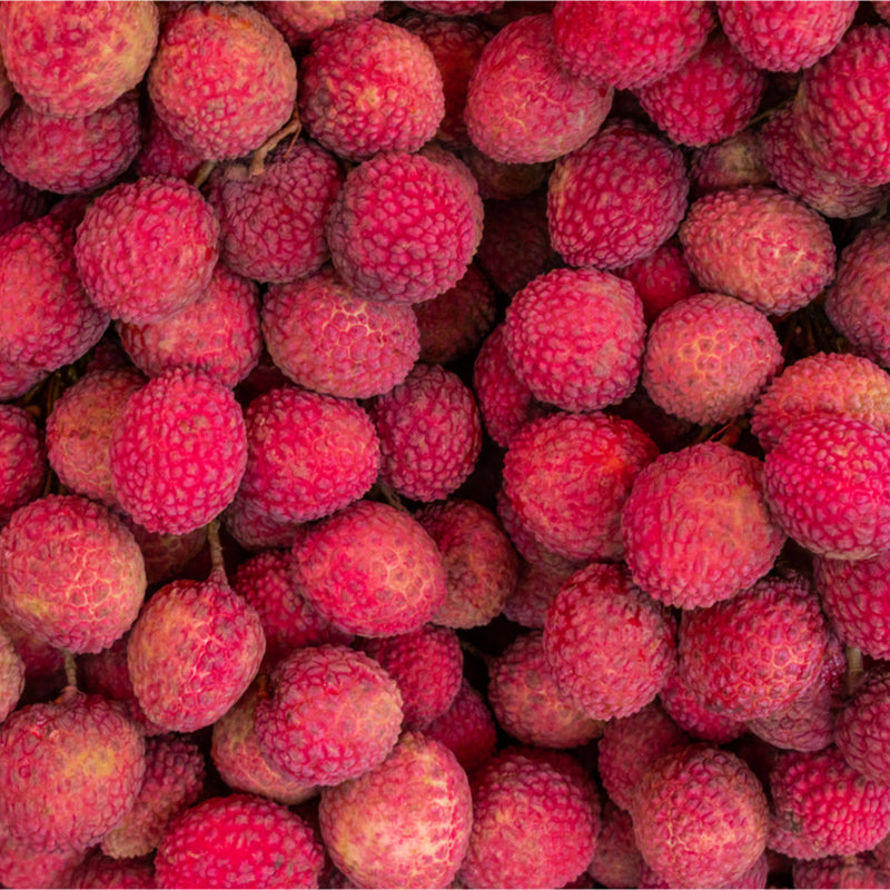 FRESH LYCHEES