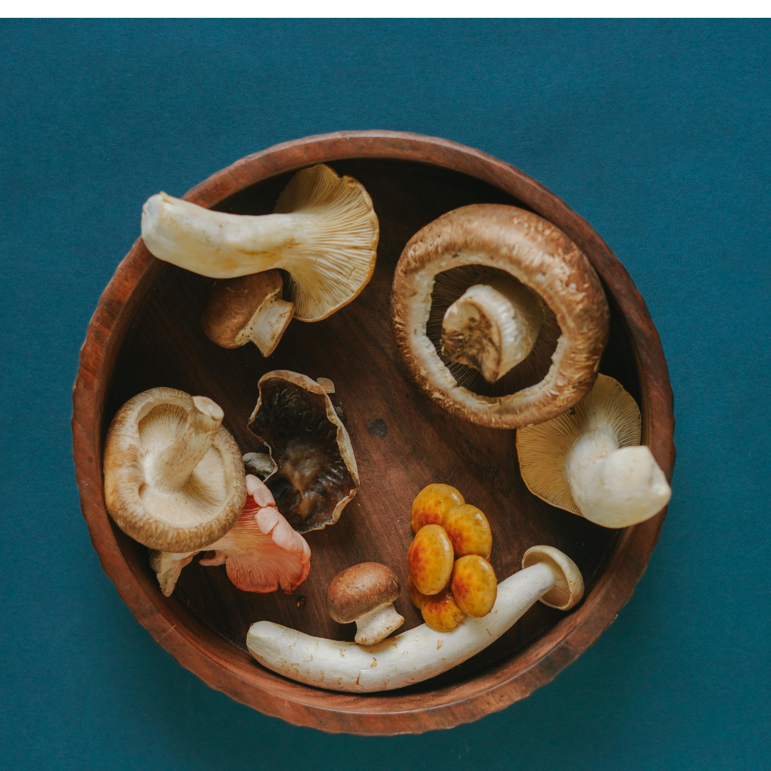 MUSHROOM MIX