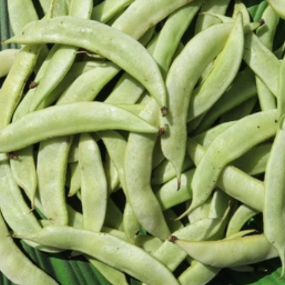 ORGANIC VAL PAPDI
