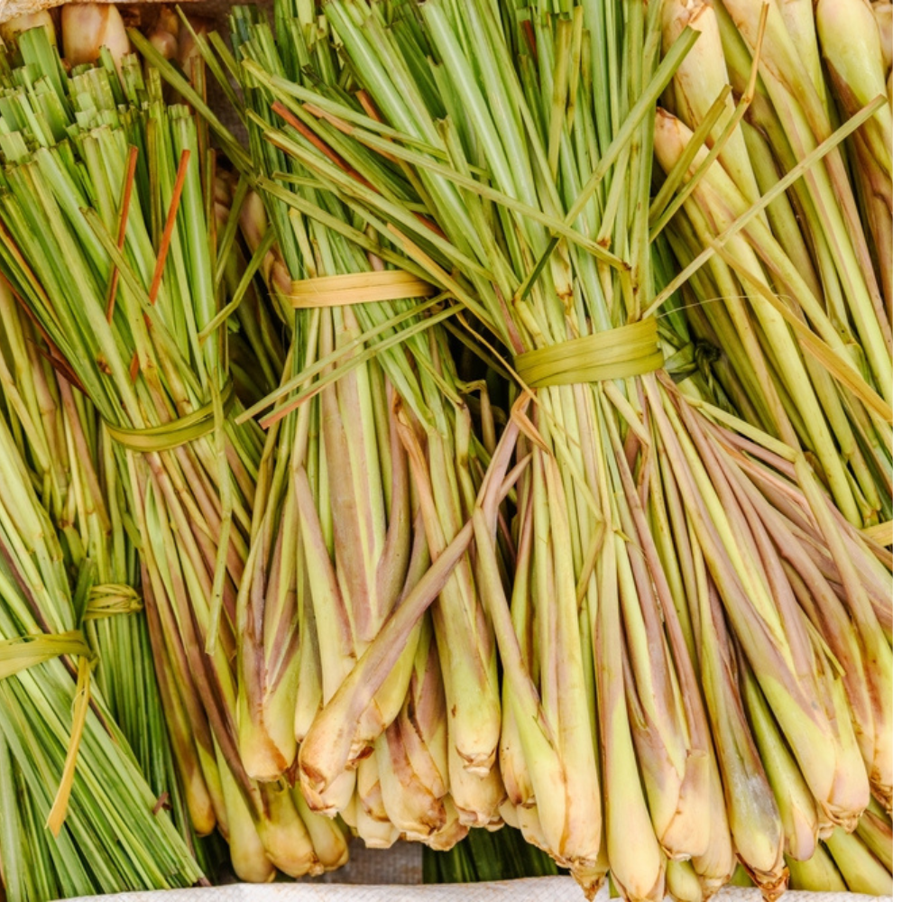 ORGANIC LEMON GRASS