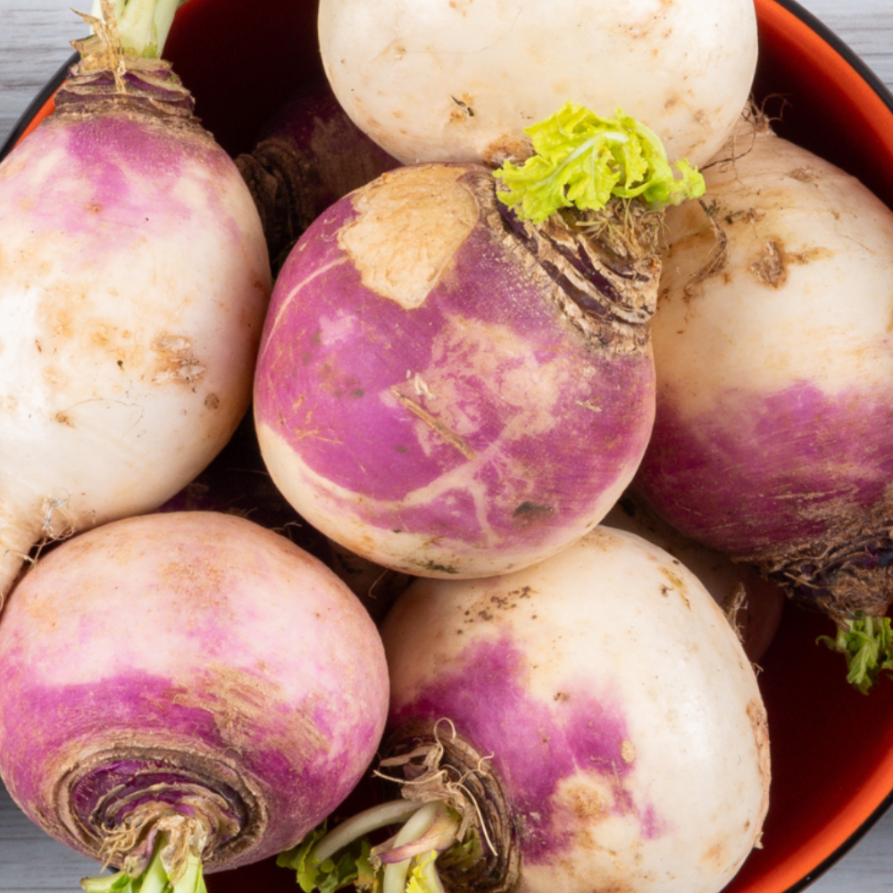ORGANIC WATERMELON RADISH