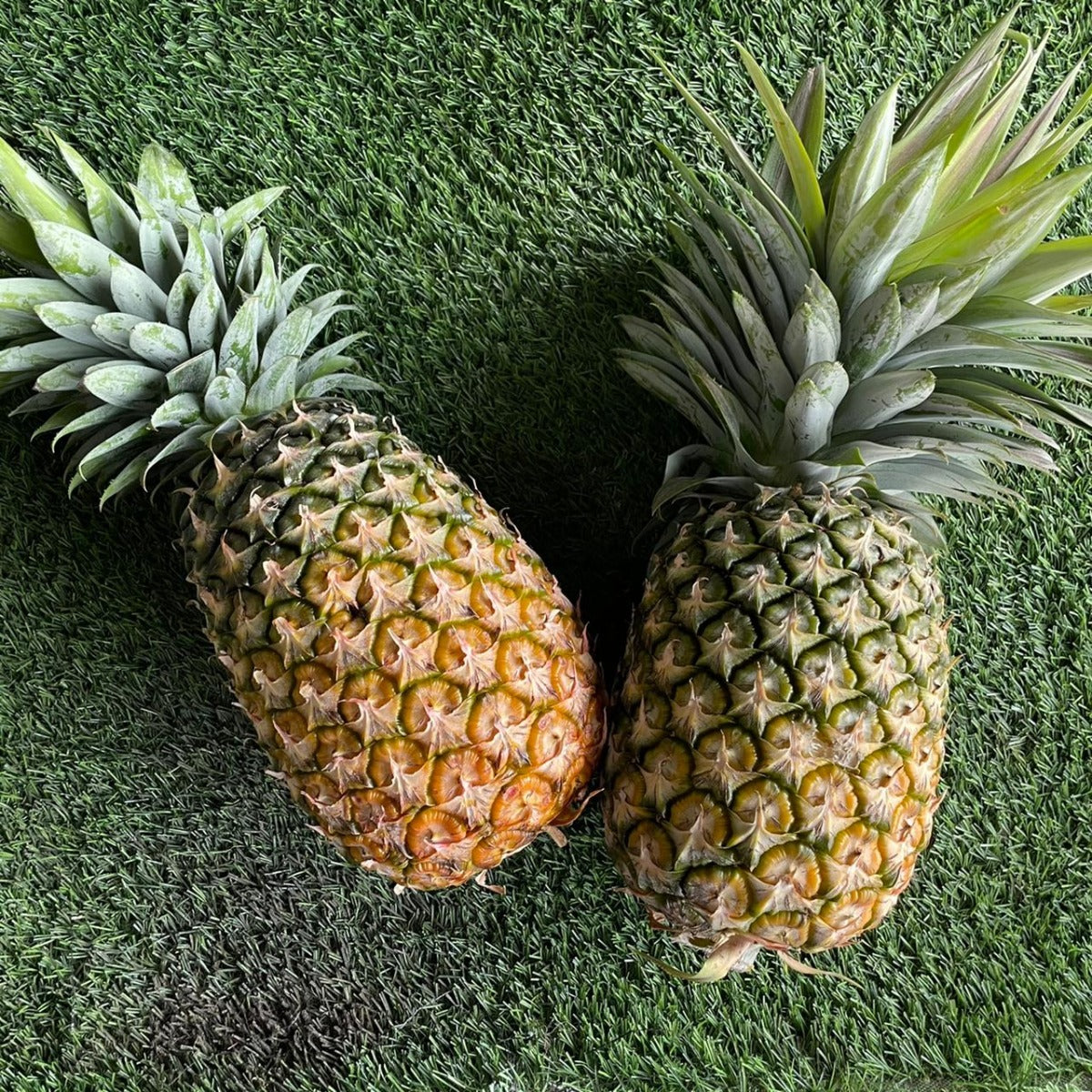 LARGE PINEAPPLE