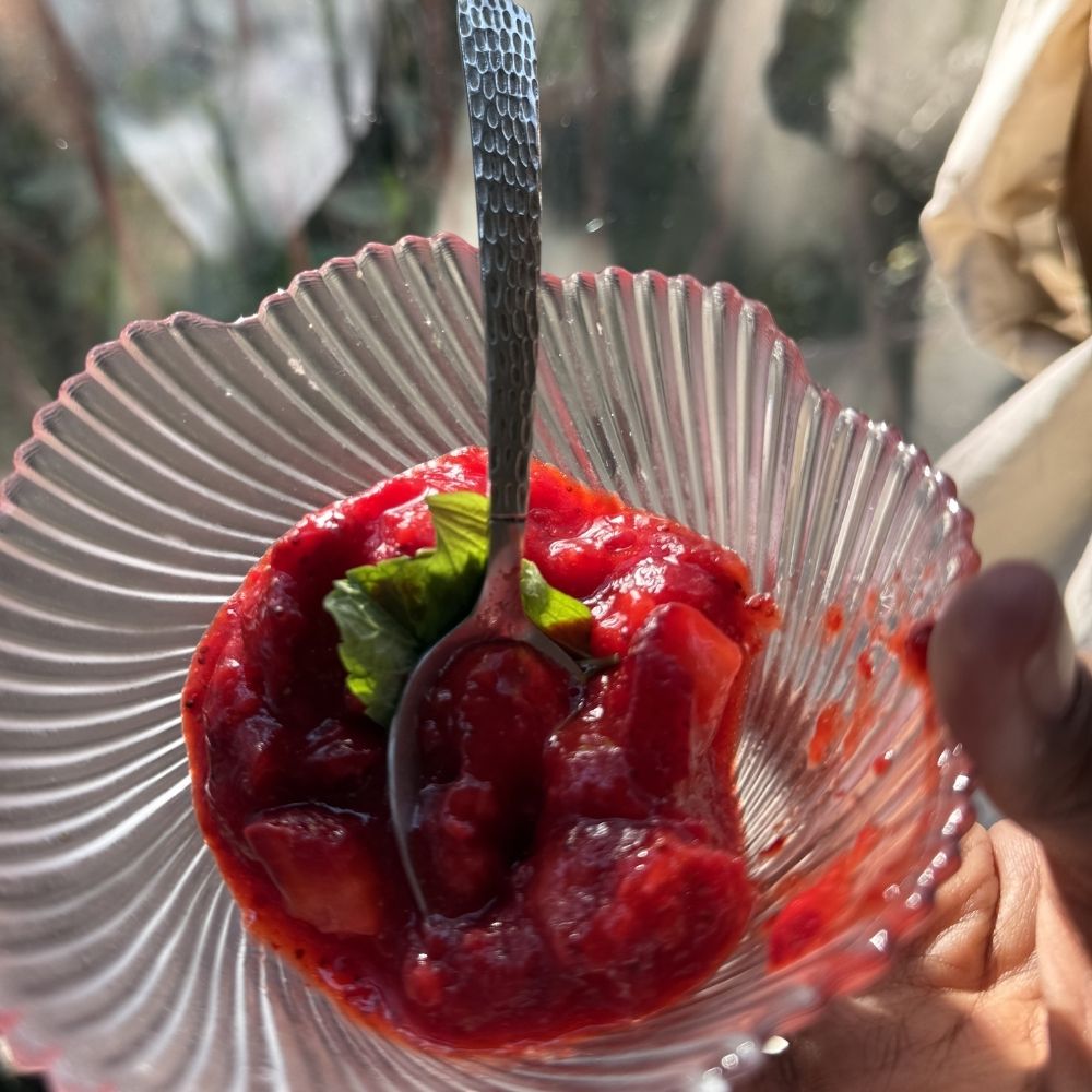 Easy Homemade Strawberry Sorbet Recipe