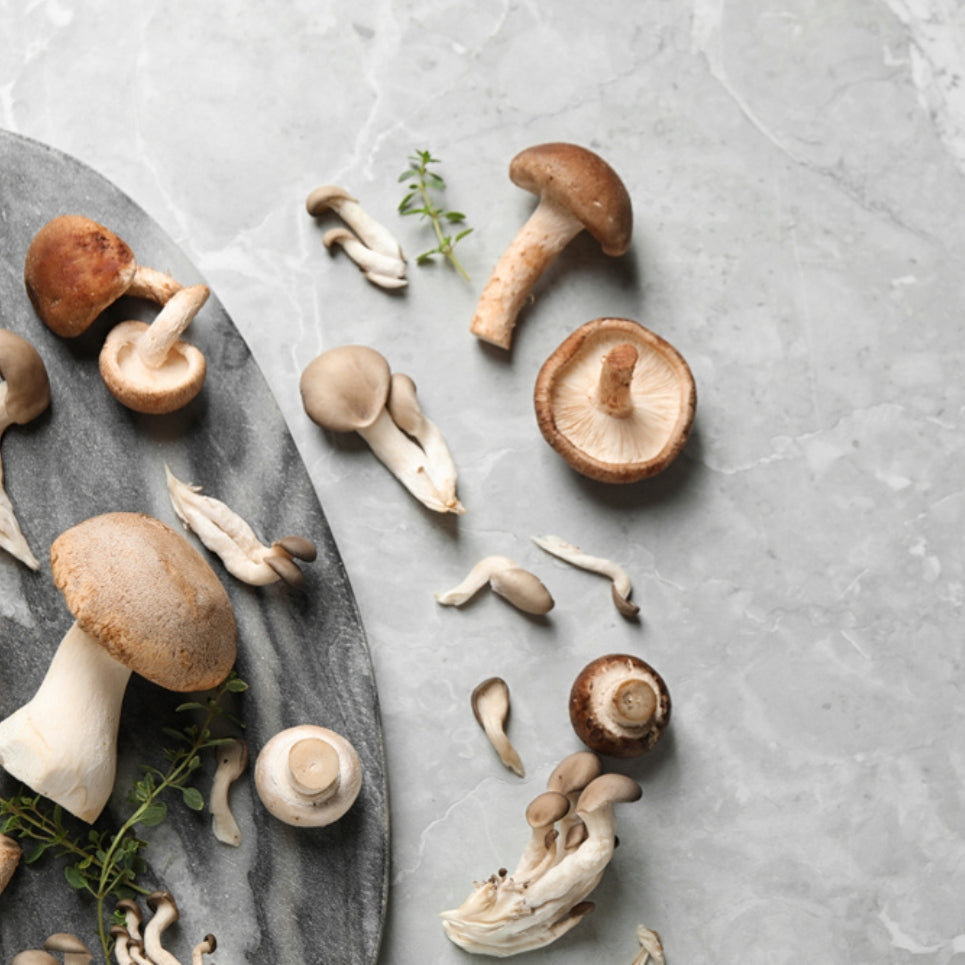 WHY SPECIALITY MUSHROOMS ARE THE NEW GO-TO MEAT REPLACEMENT?