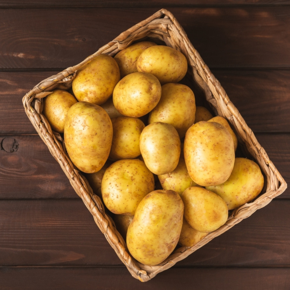 FRESH POTATO