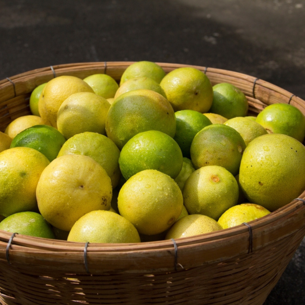 FRESH LEMON