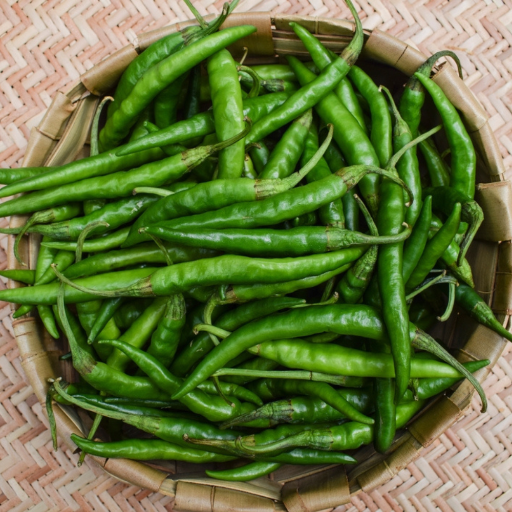 FRESH GREEN CHILLIES