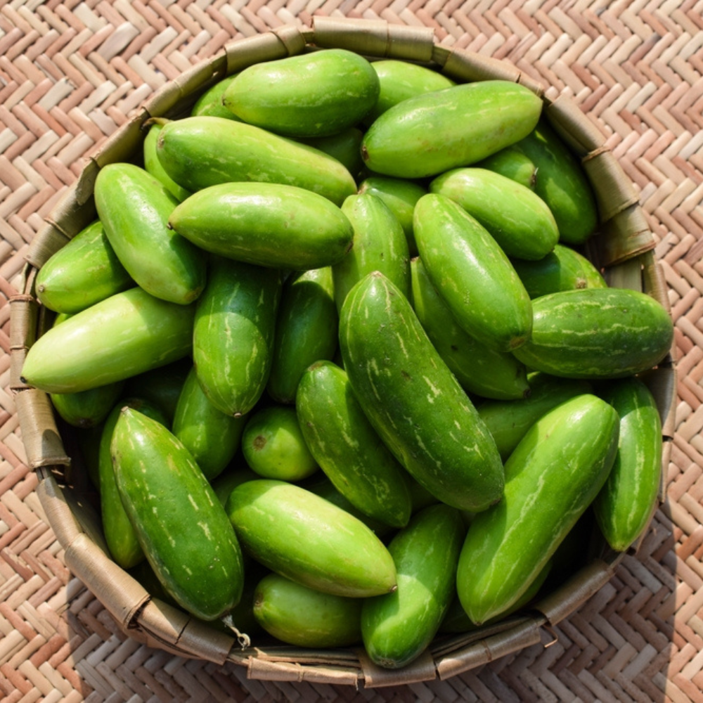FRESH TINDLI