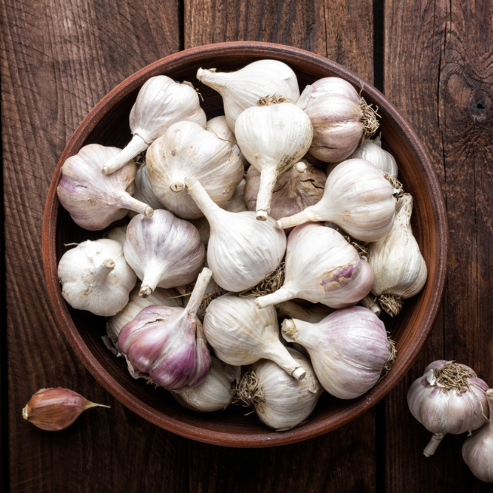 FRESH GARLIC