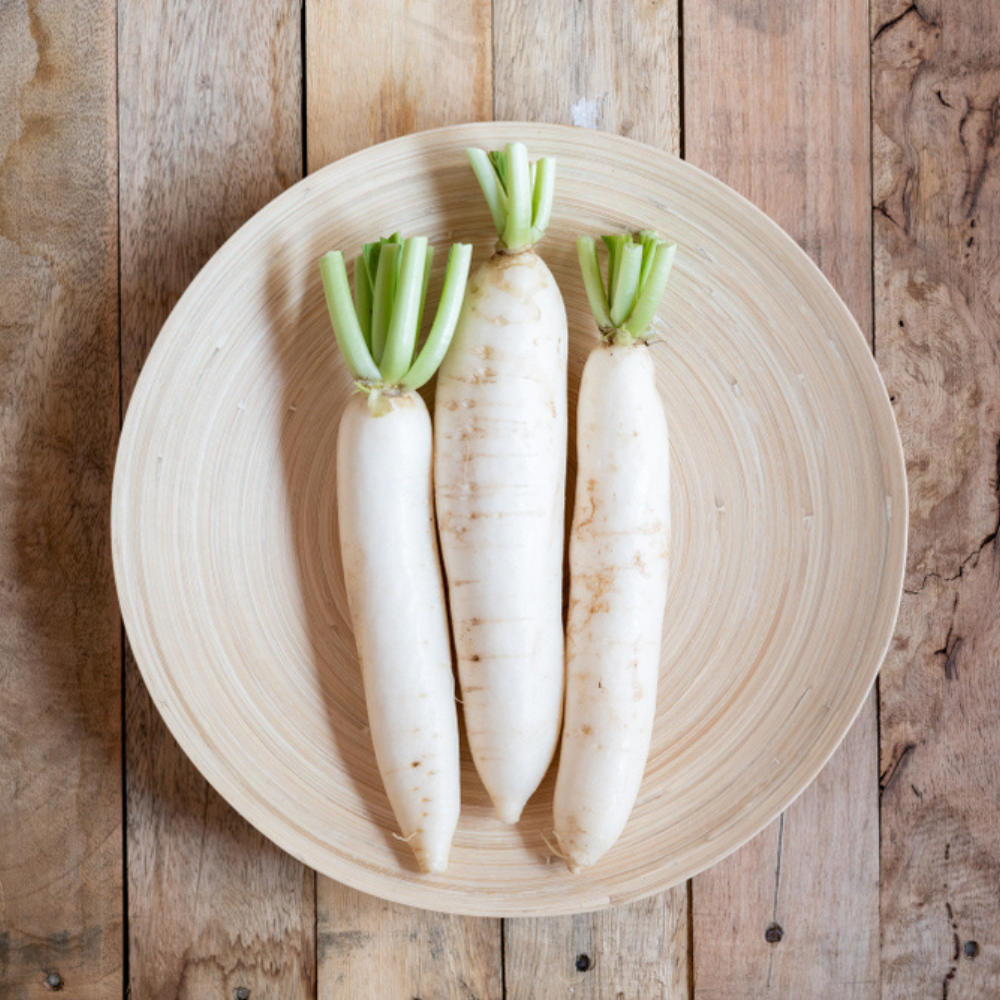 FRESH RADISH