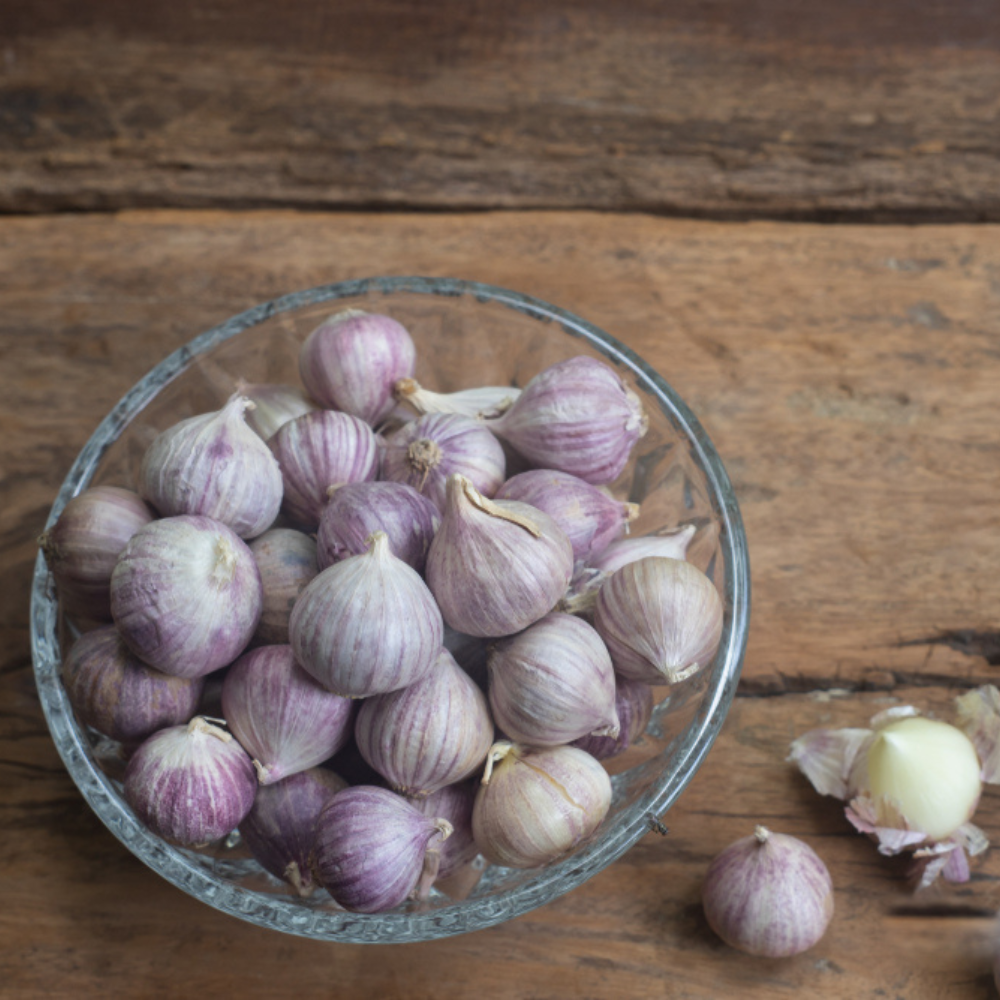 SINGLE CLOVE GARLIC
