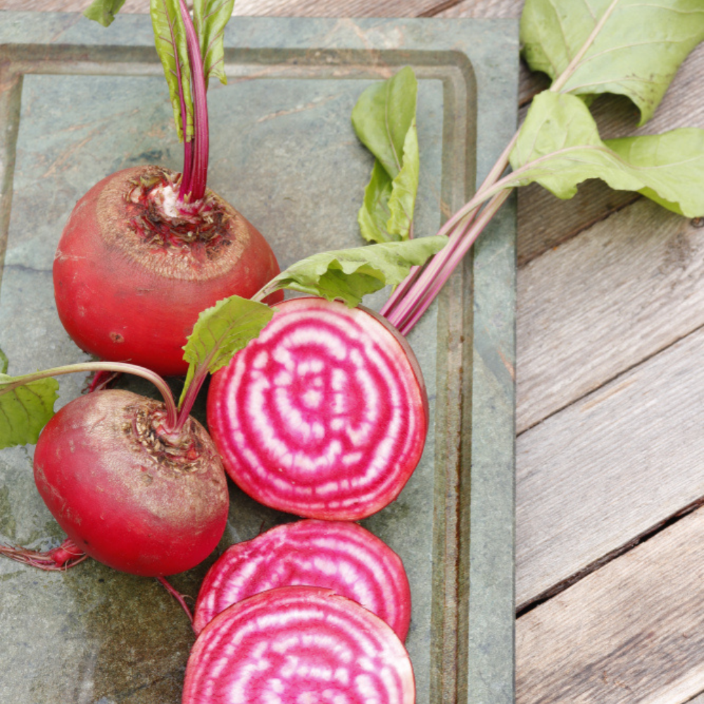 FRESH CHIOGGA BEETS