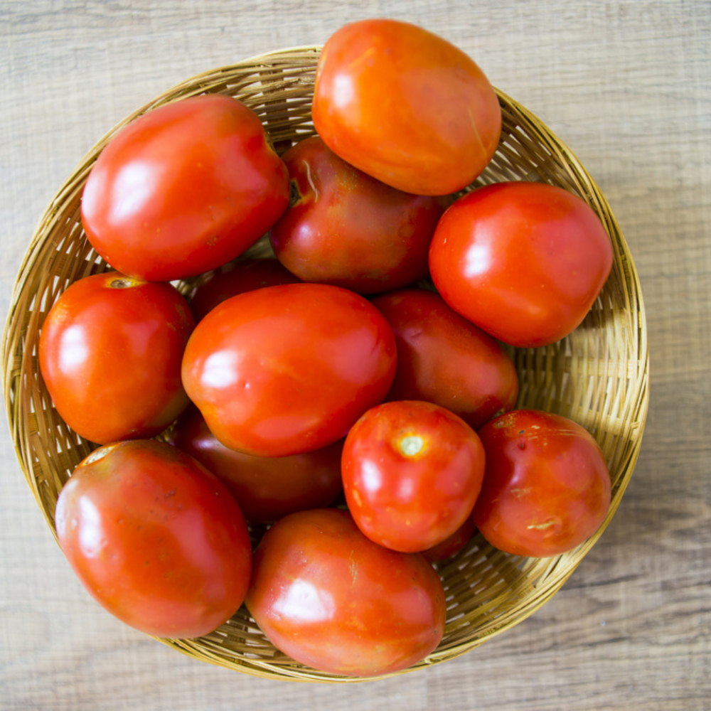 FRESH TOMATO