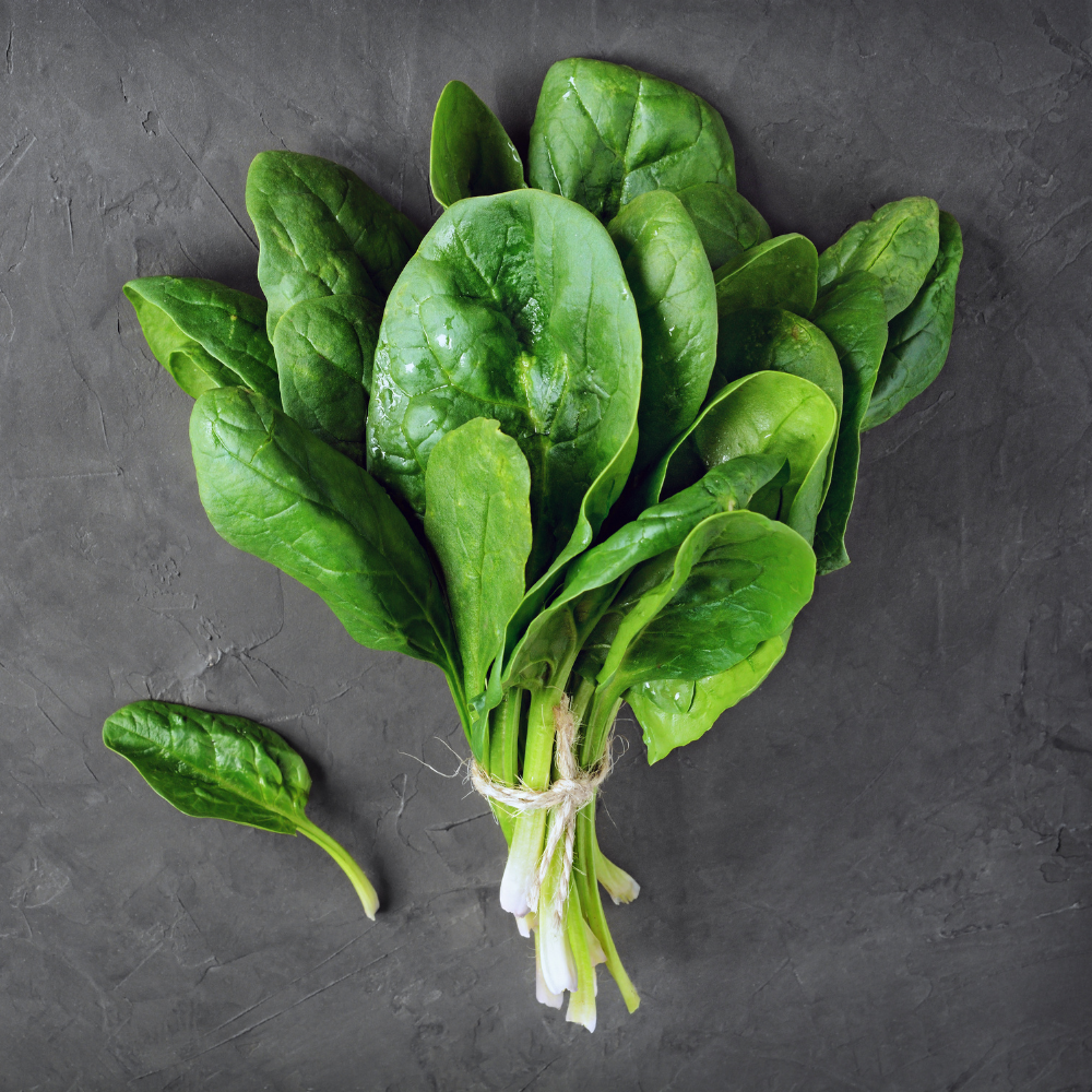FRESH PALAK