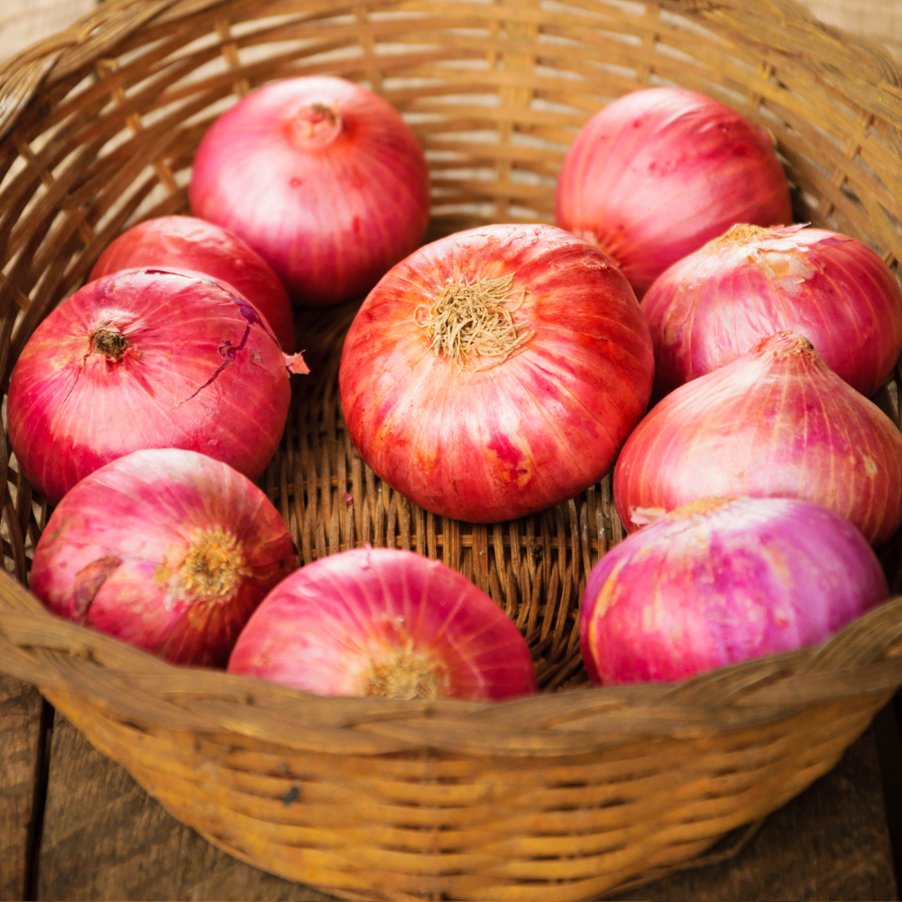 FRESH ONION