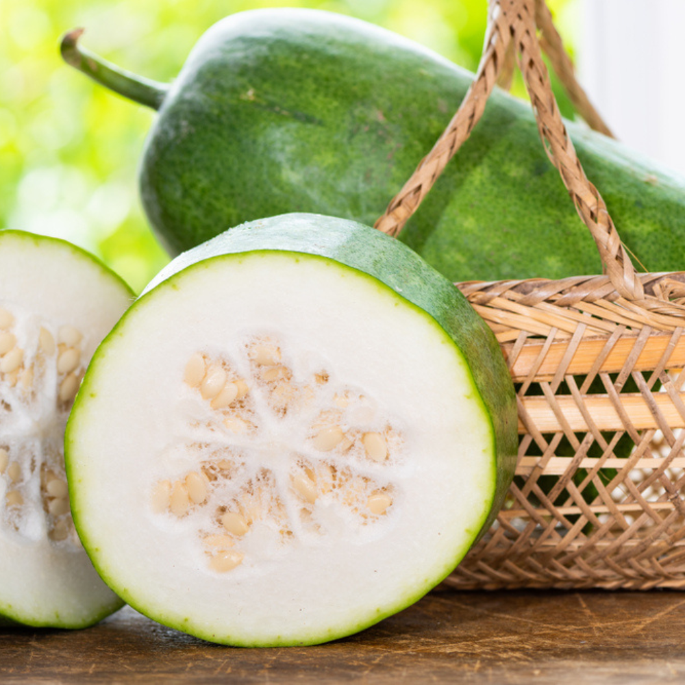 ASH GOURD
