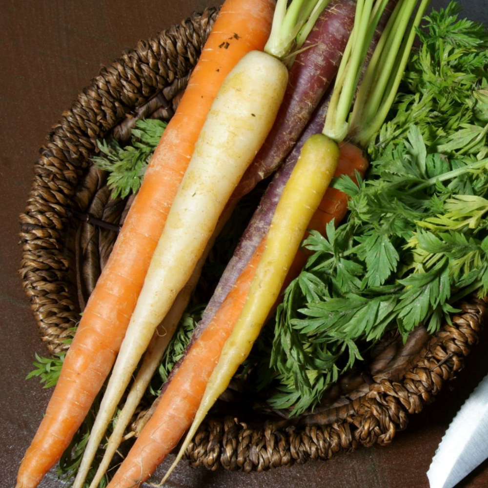 FRESH COLORED CARROT