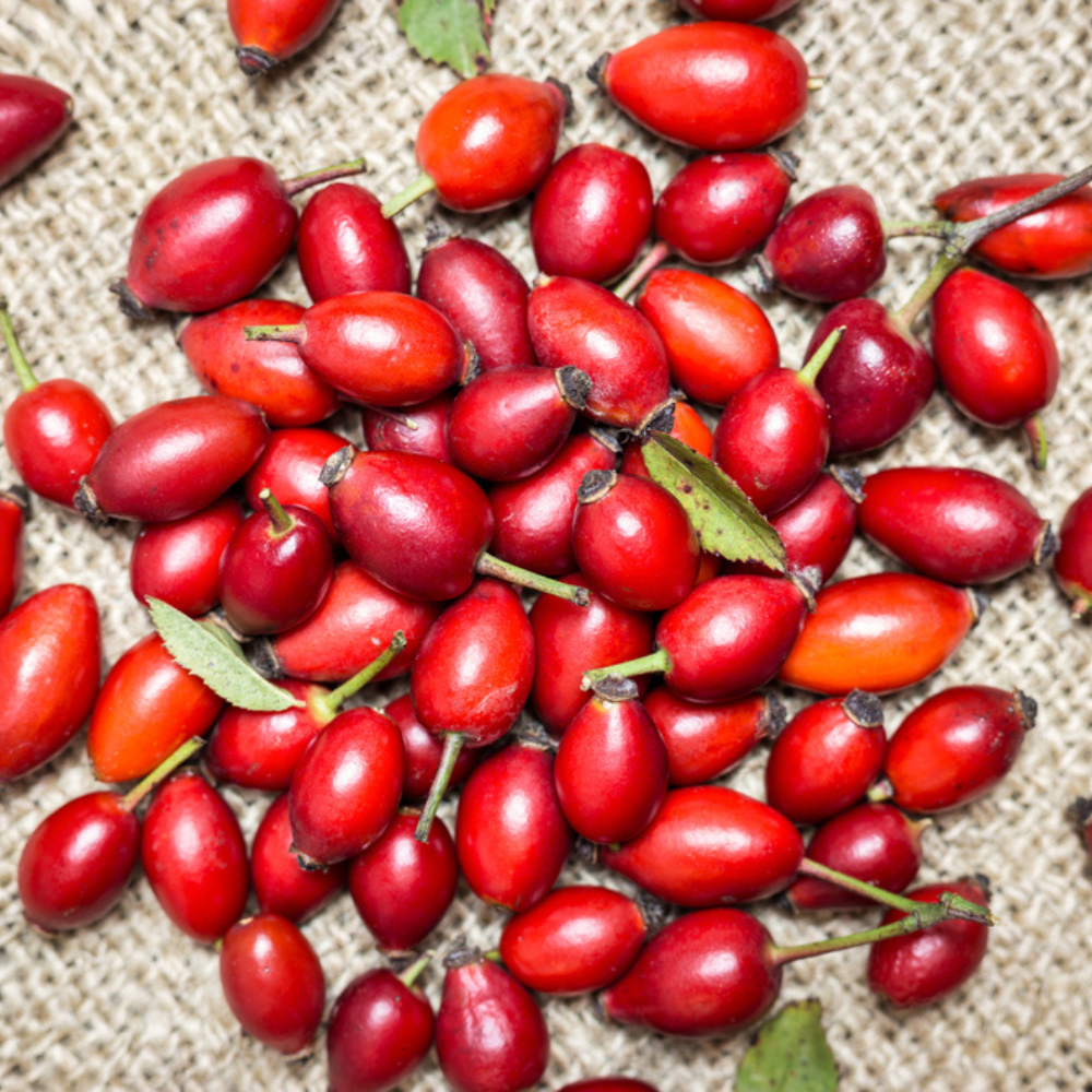 BARHI DATES