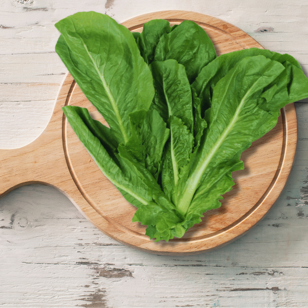 HEALTHY GREEN'S BUNDLE