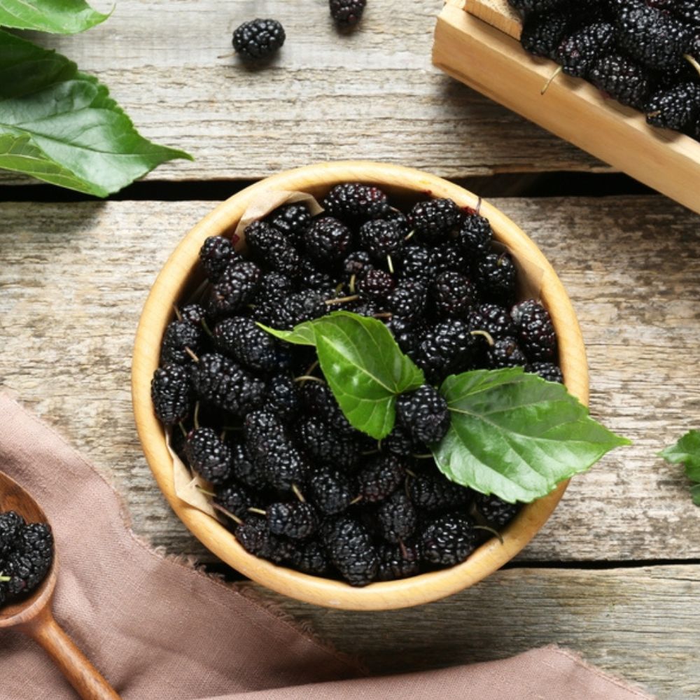 MULBERRY