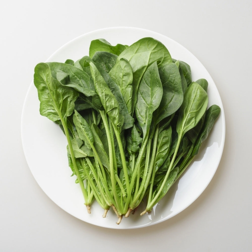 FRESH PALAK