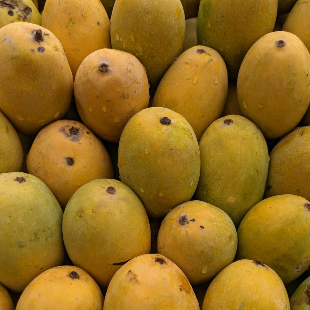 FRESH KESAR MANGO