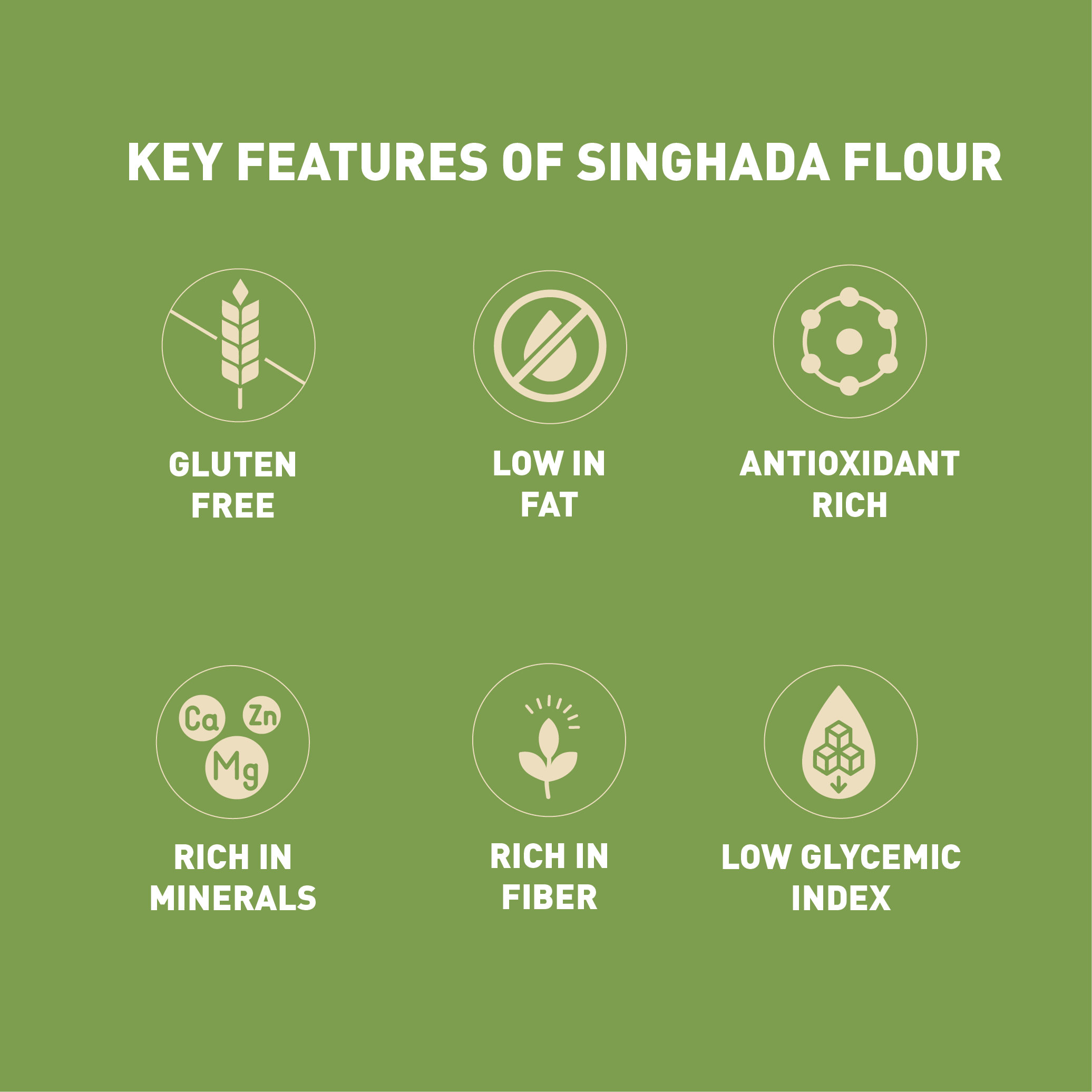 SINGHADA FLOUR