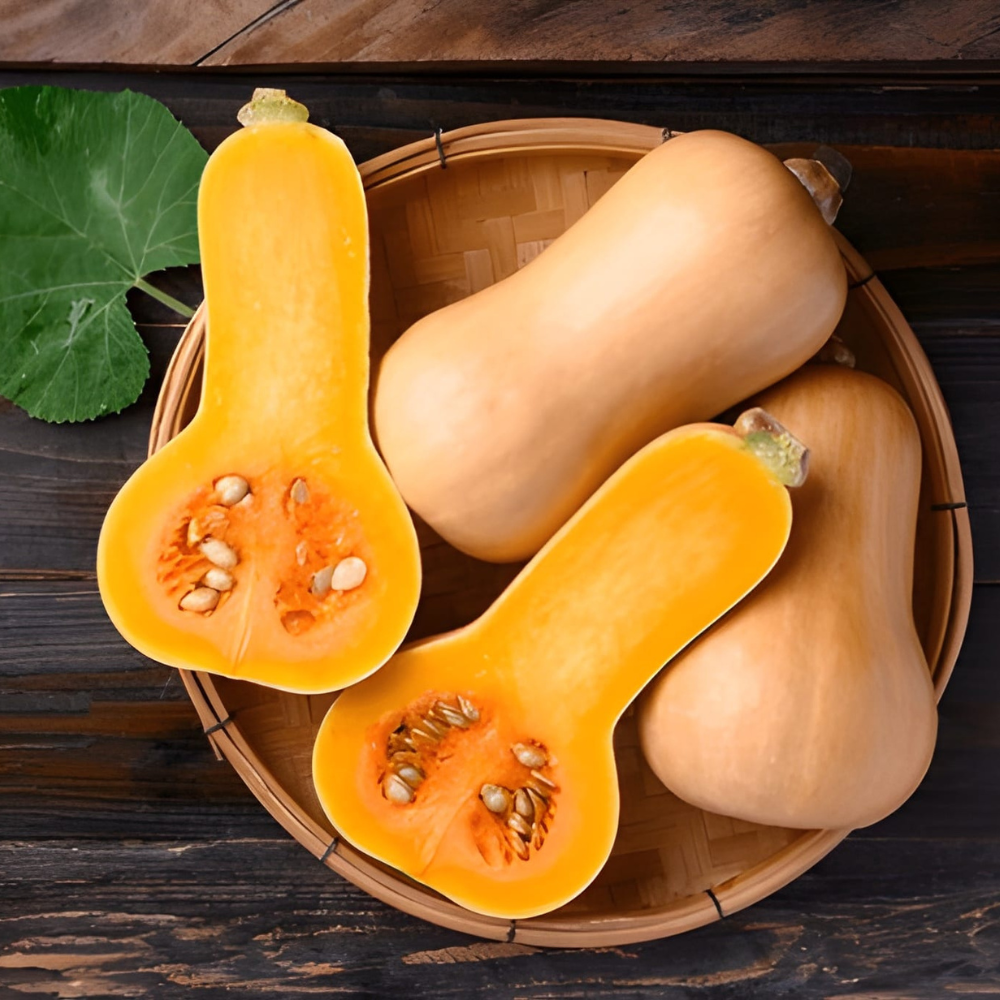 BUTTERNUT SQUASH