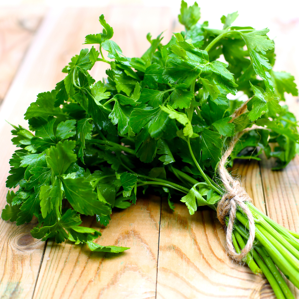 FRESH FLAT PARSLEY