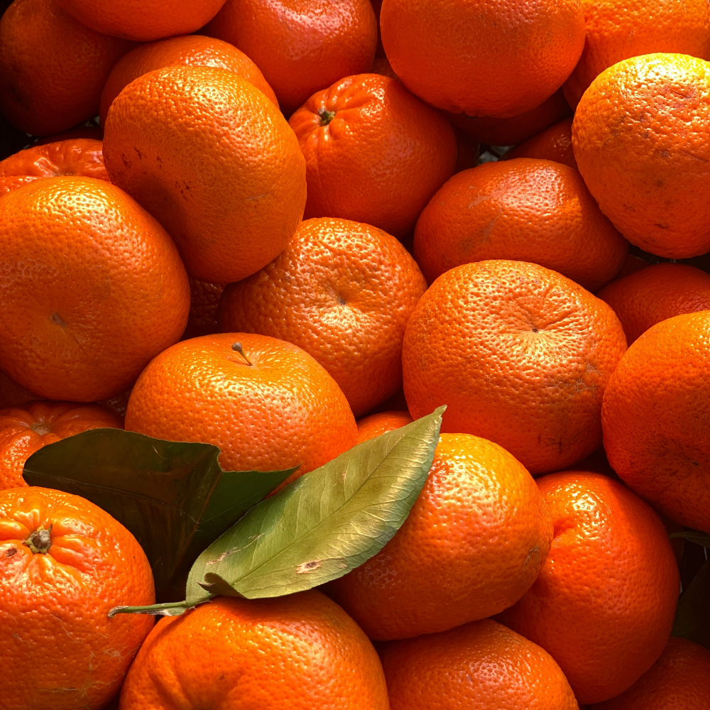 FRESH KINNOW ORANGES