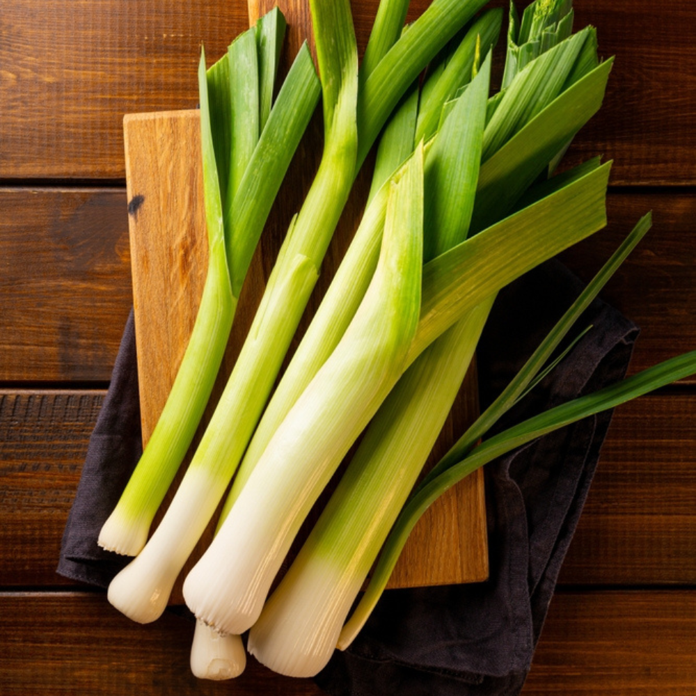 FRESH LEEK