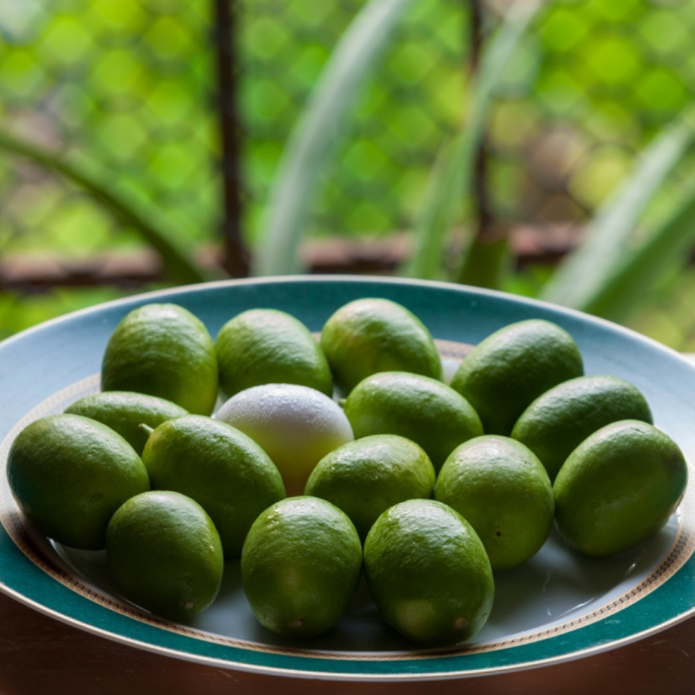 GONDHORAJ LEMON