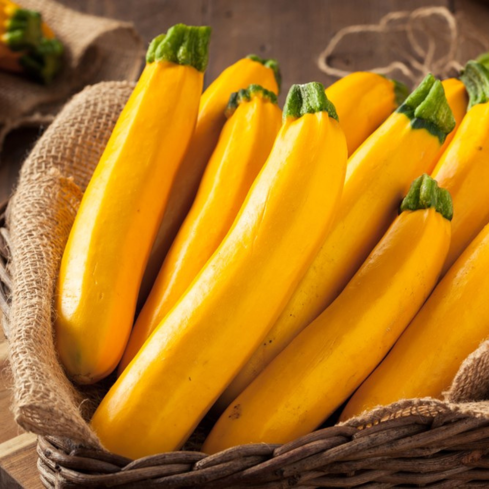 FRESH YELLOW ZUCCHINI