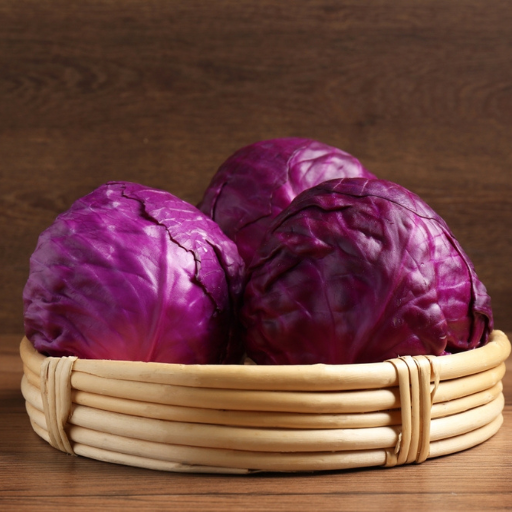 FRESH RED CABBAGE