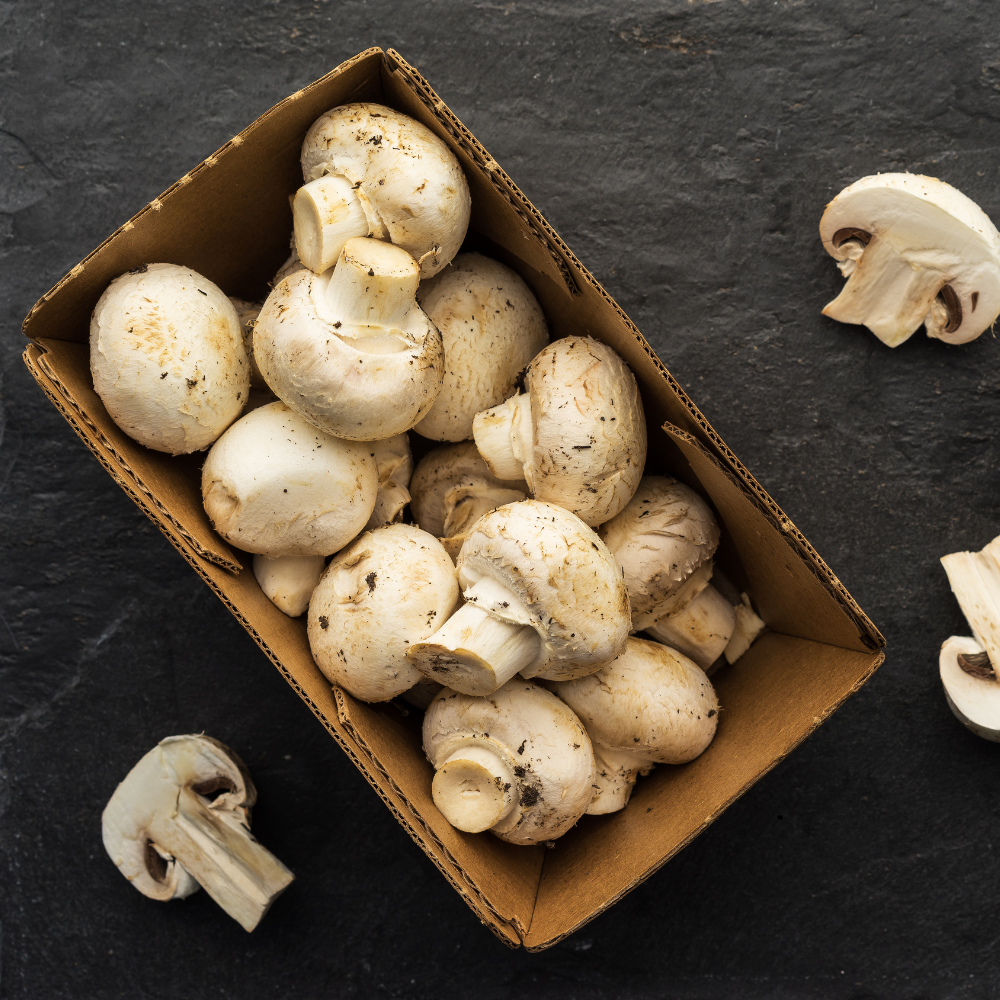 WHITE BUTTON MUSHROOM