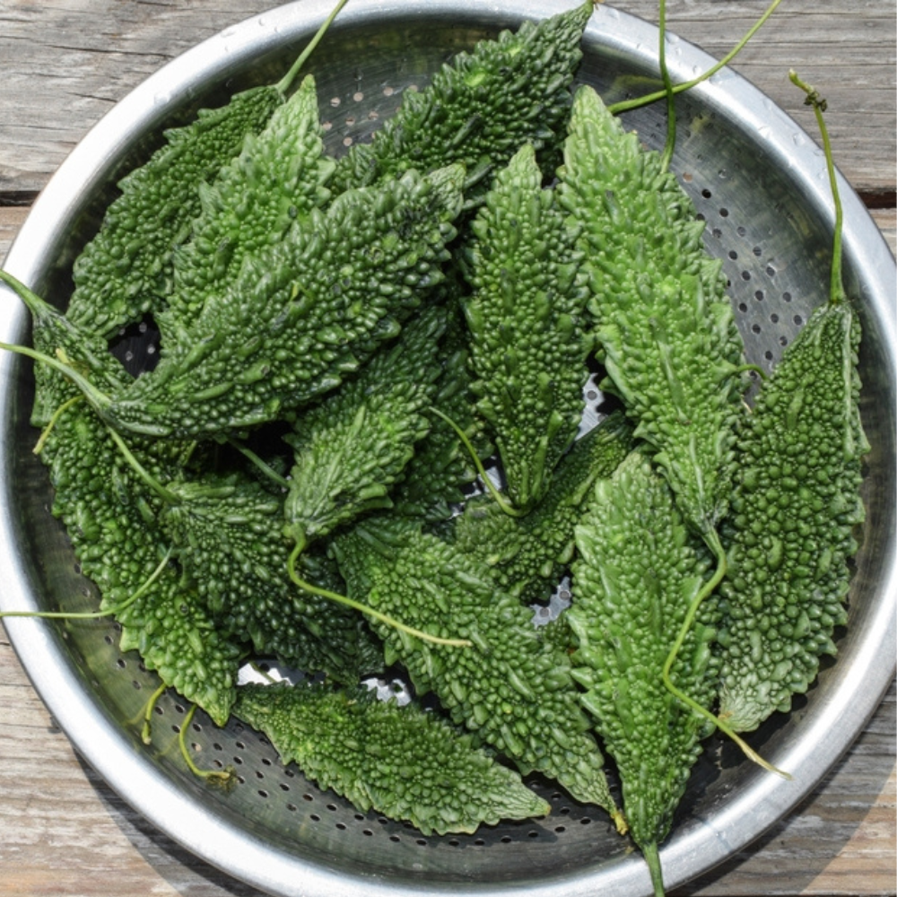 BITTER GOURD (KARELA)
