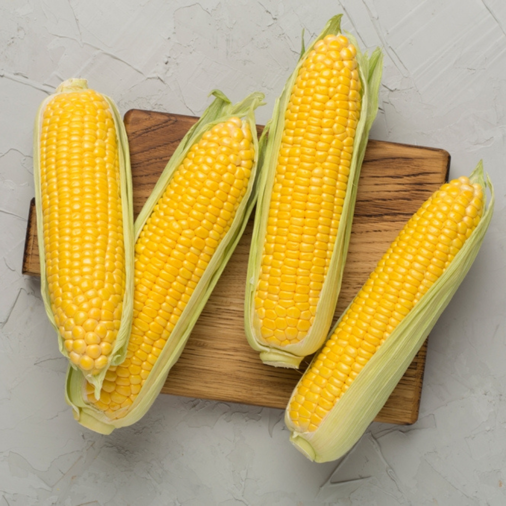 FRESH SWEET CORN