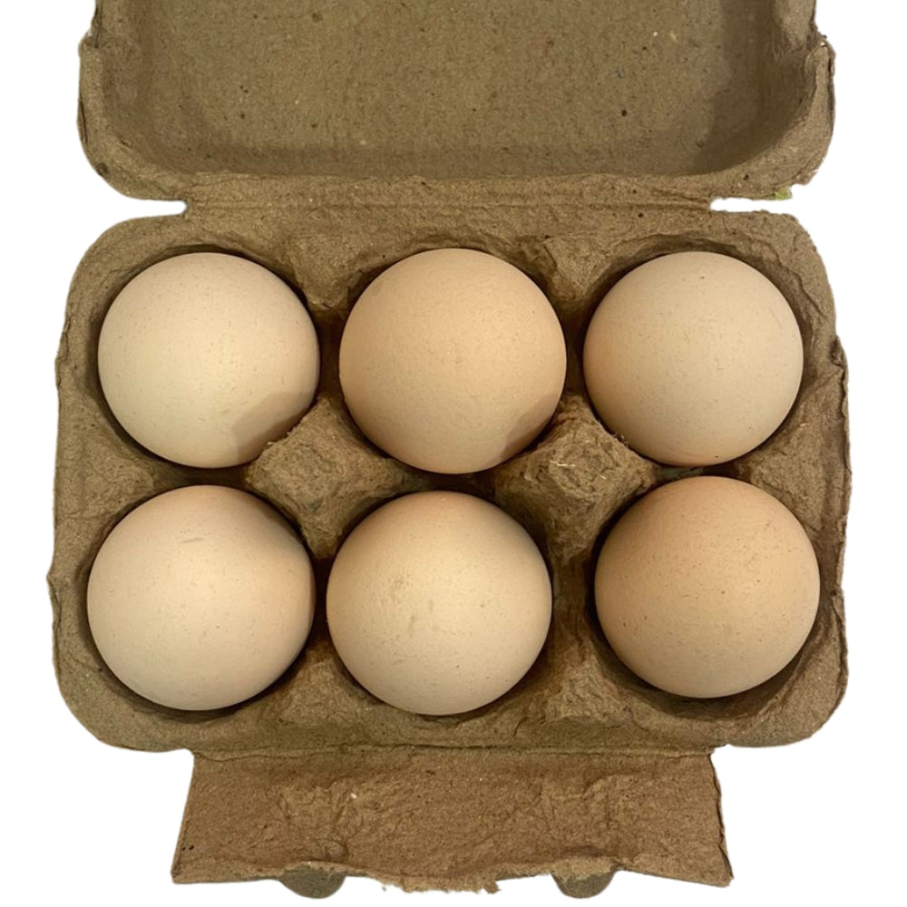 KADAKNATH EGGS (6 PC BOX)