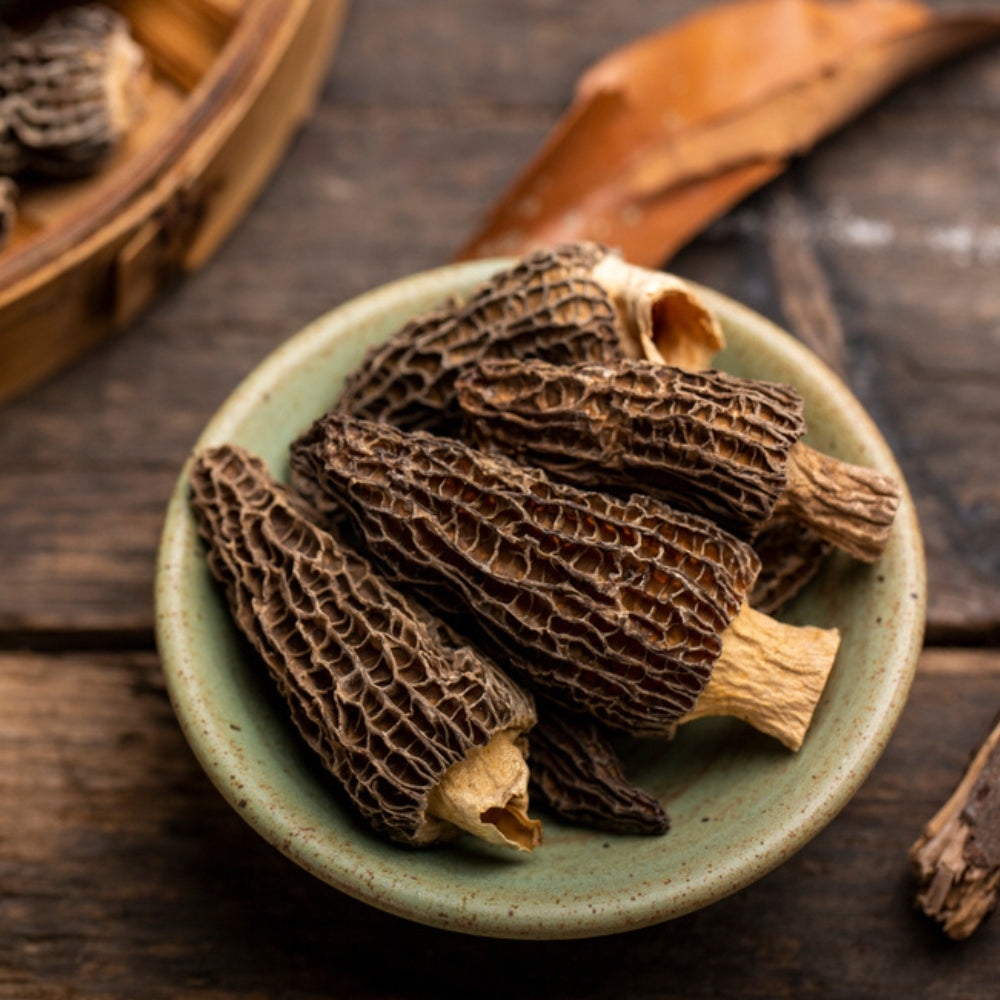 Morel Mushroom