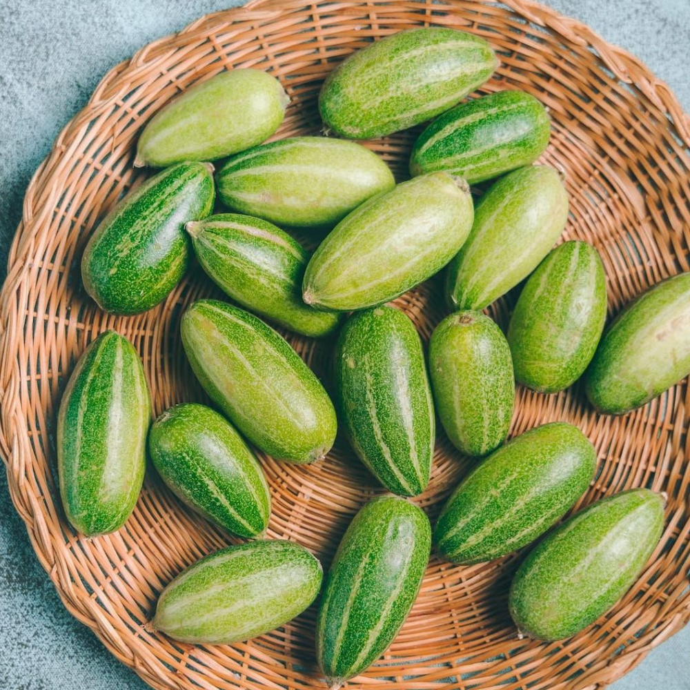 ORGANIC POINTED GOURD (PARWAL)