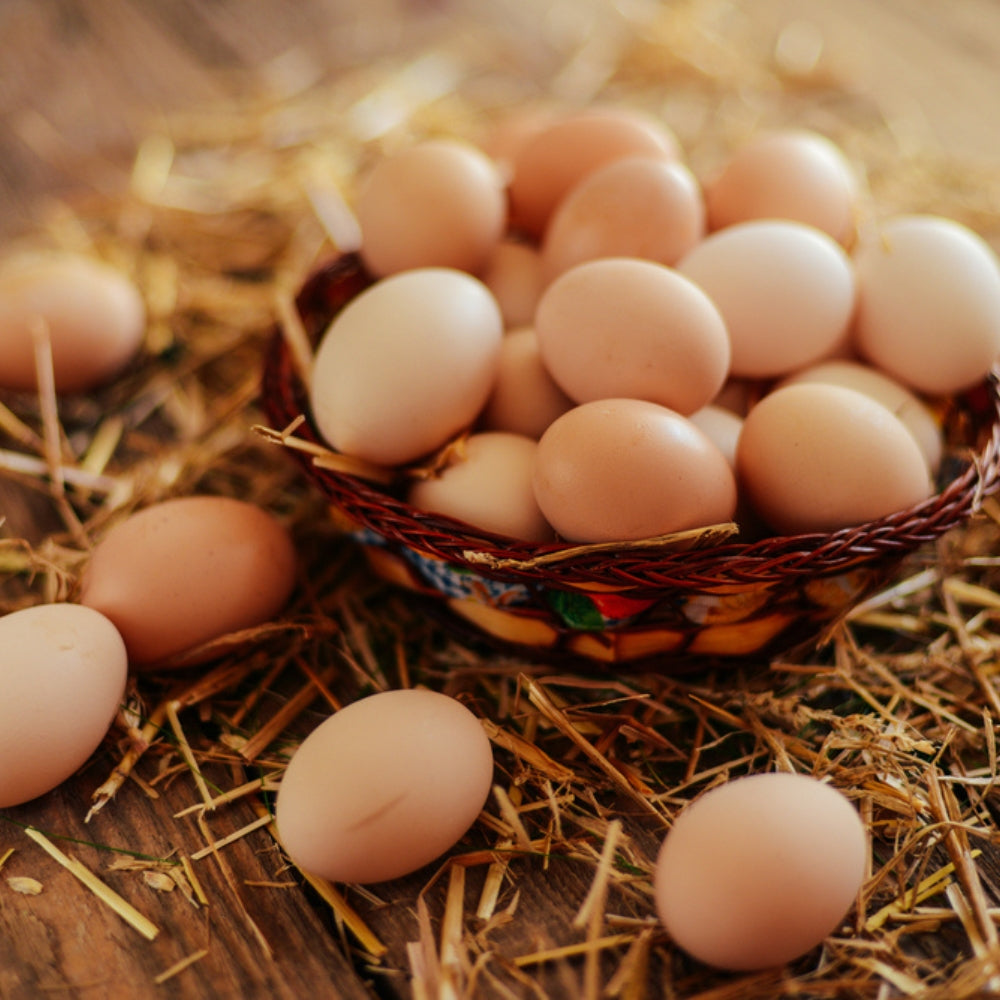 KADAKNATH EGGS (6 PC BOX)