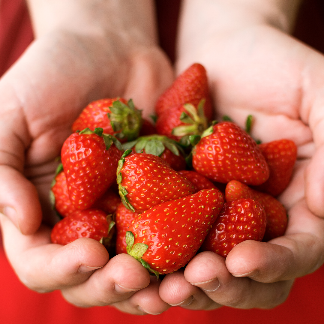 STRAWBERRY (BOX)