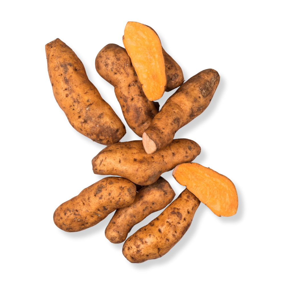 ORGANIC ORANGE SWEET POTATO