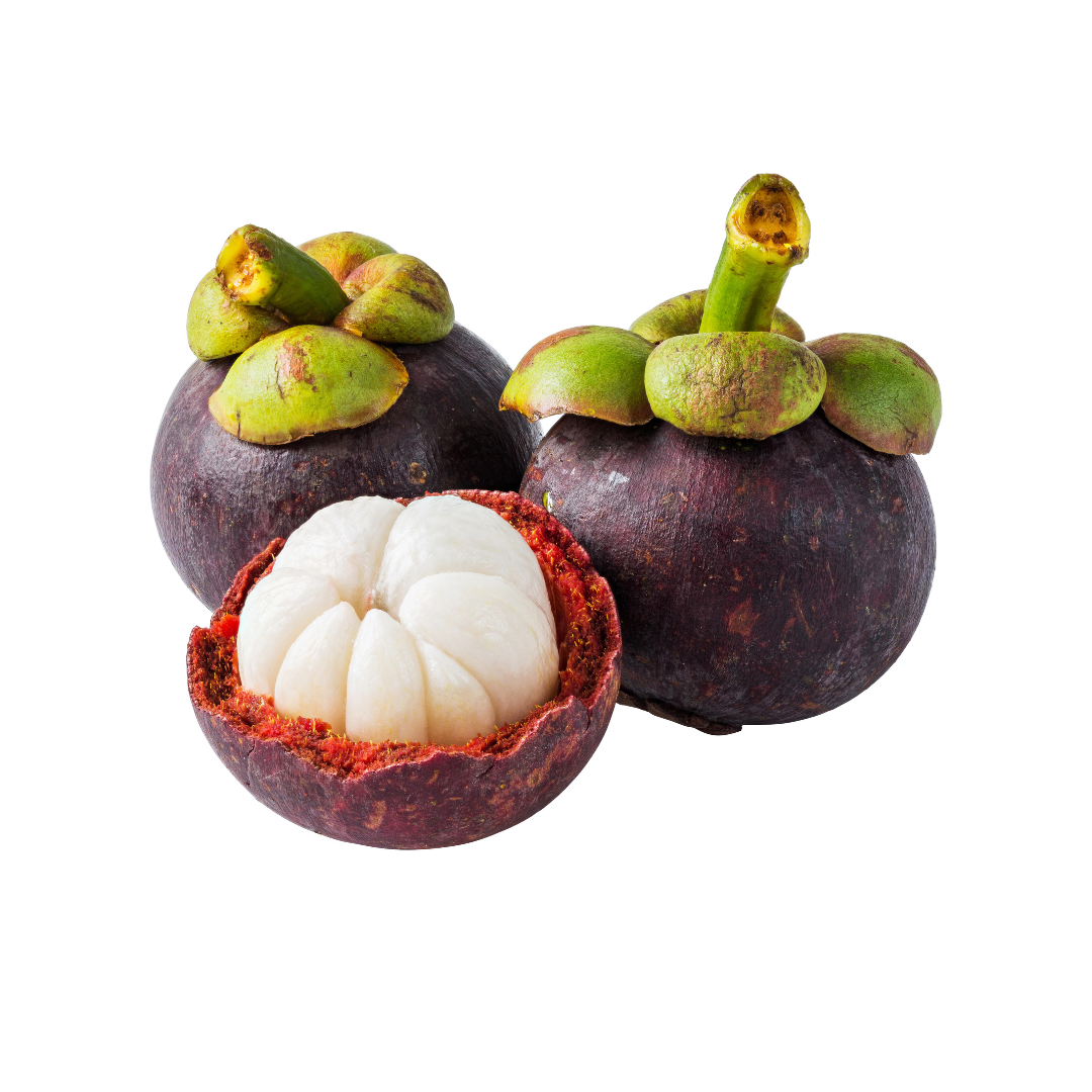 MANGOSTEEN