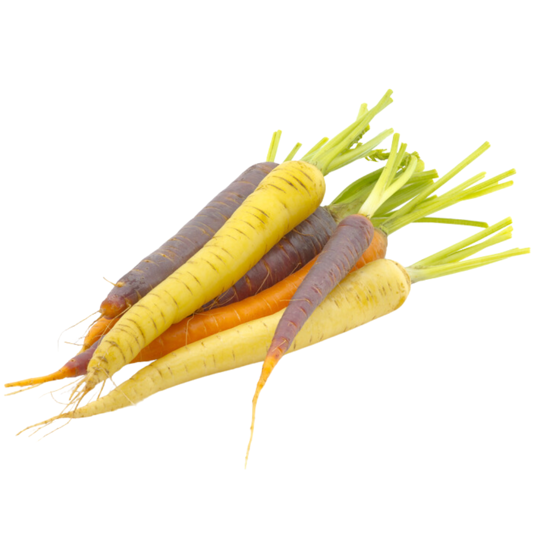 COLORED CARROT