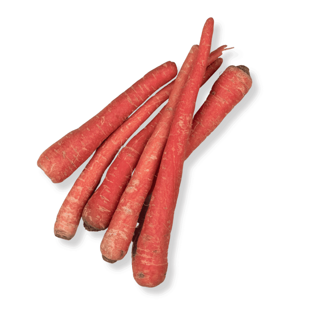 RED CARROT